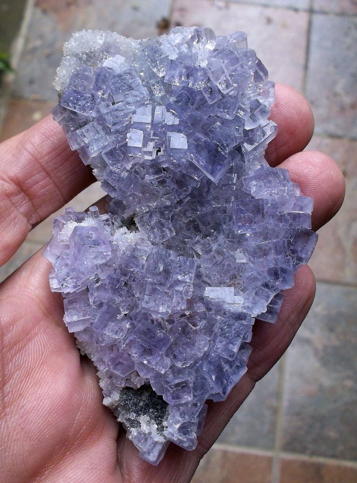 Fluorita
8 x 5 cm
(Autor: Cristalino)