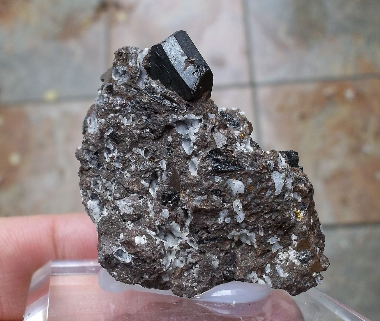 Augita
3 x 3 cm (cristal de 1 cm)
(Autor: Cristalino)