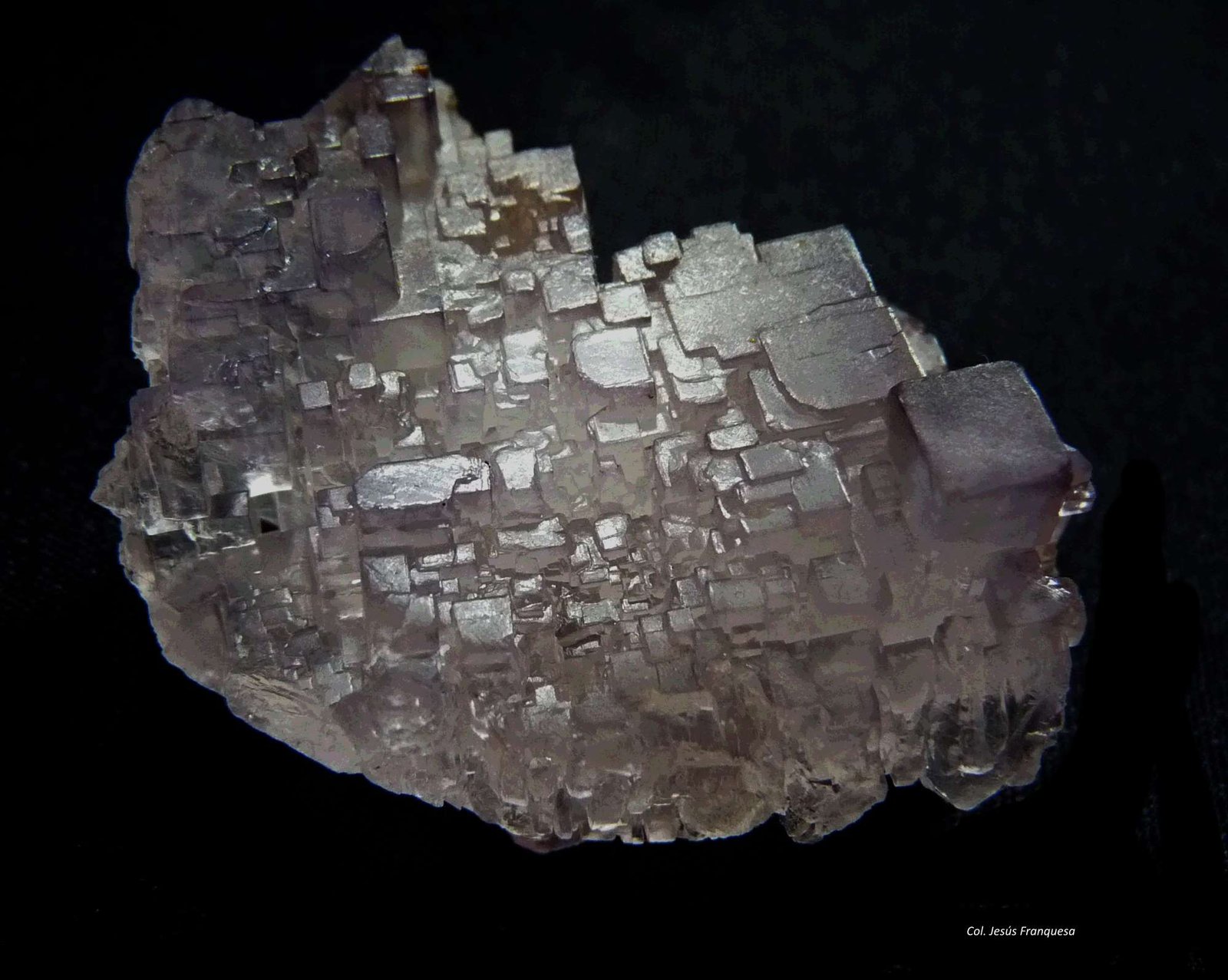 Fluorita.
40x30 mm.
(Autor: Jesus Franquesa Baucells)
