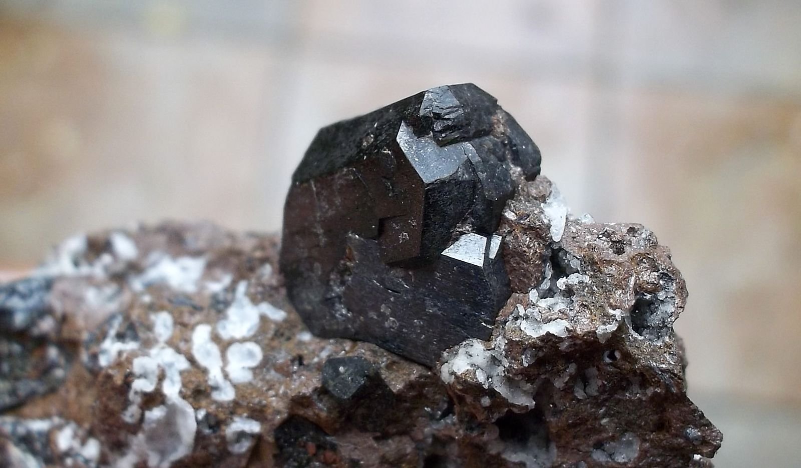 Augita
3 x 3 cm (cristal de 1 cm)
(Autor: Cristalino)
