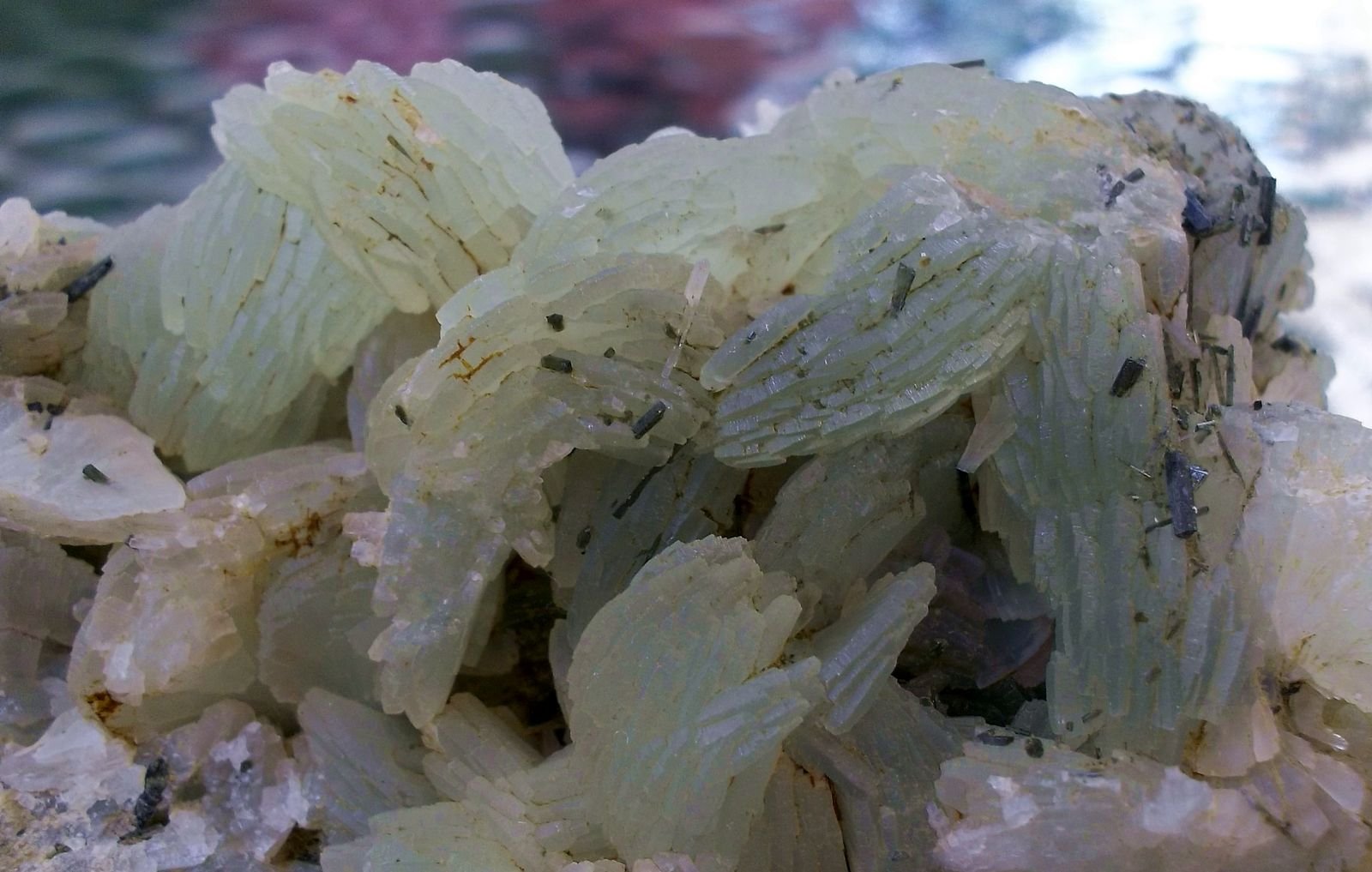 Prehnita y augita
Tamaño de la pieza 6 x 4 cm. Detalle de algunos cristales.
(Autor: Cristalino)