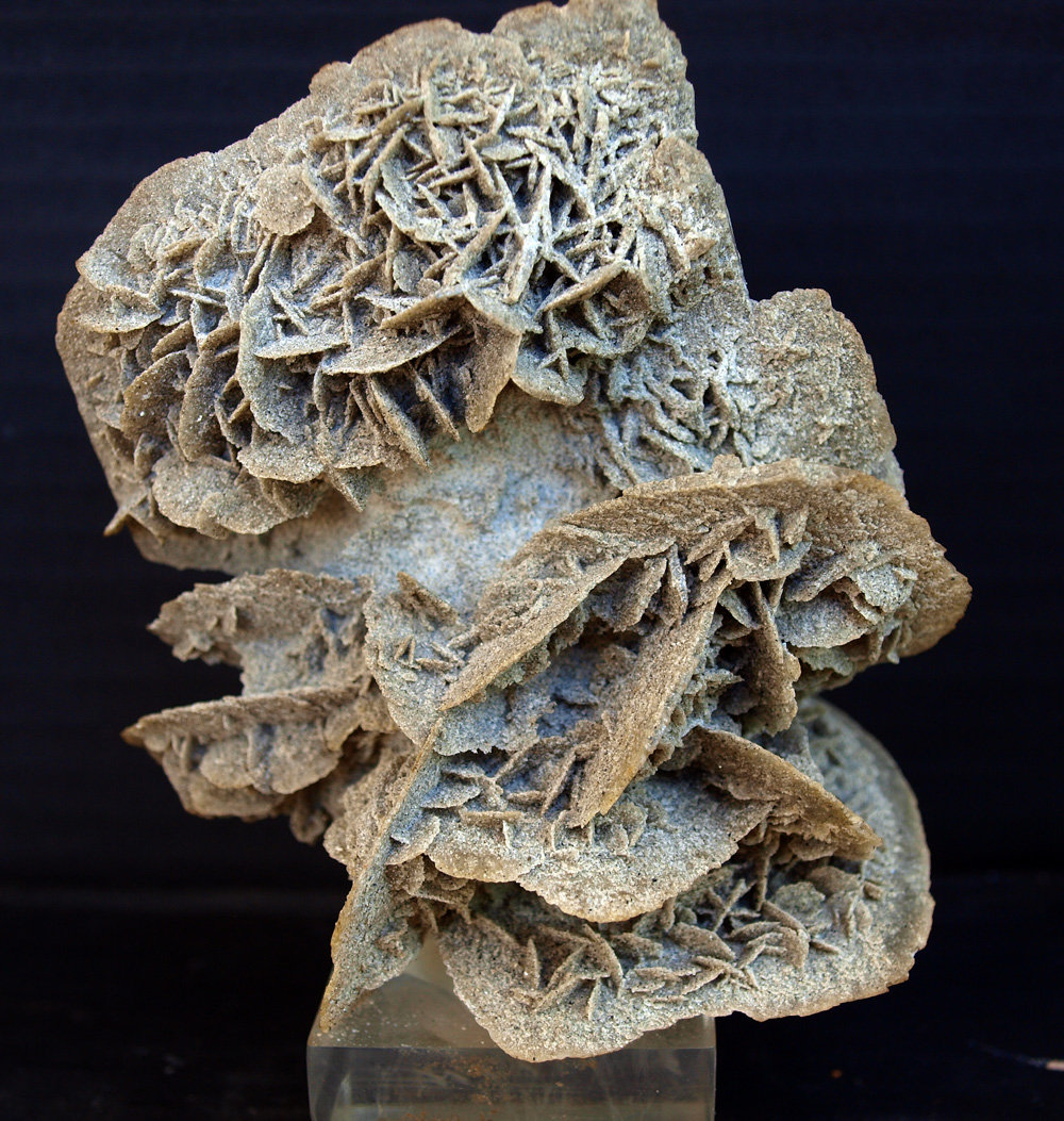 Yeso
10.5 x 9 cm
(Autor: Pedro Antonio)