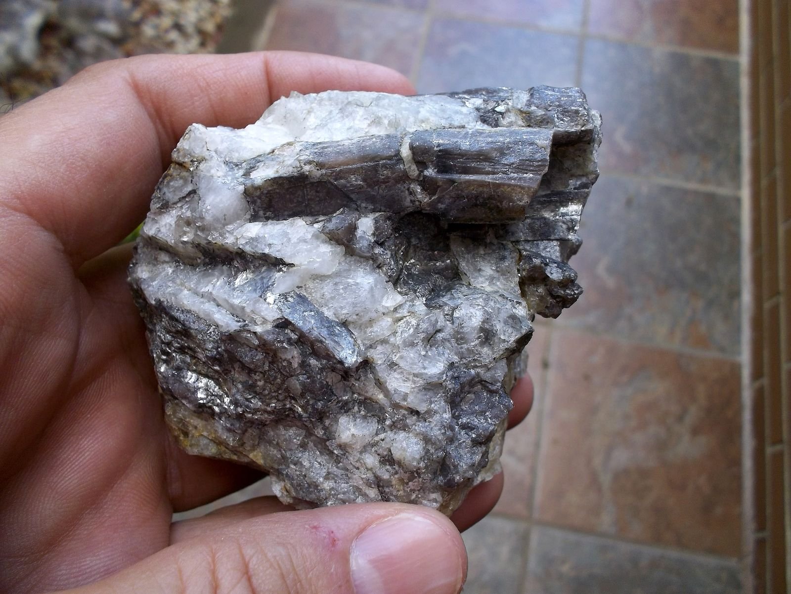 Andalucita
Cristal de 4 cm
(Autor: Cristalino)