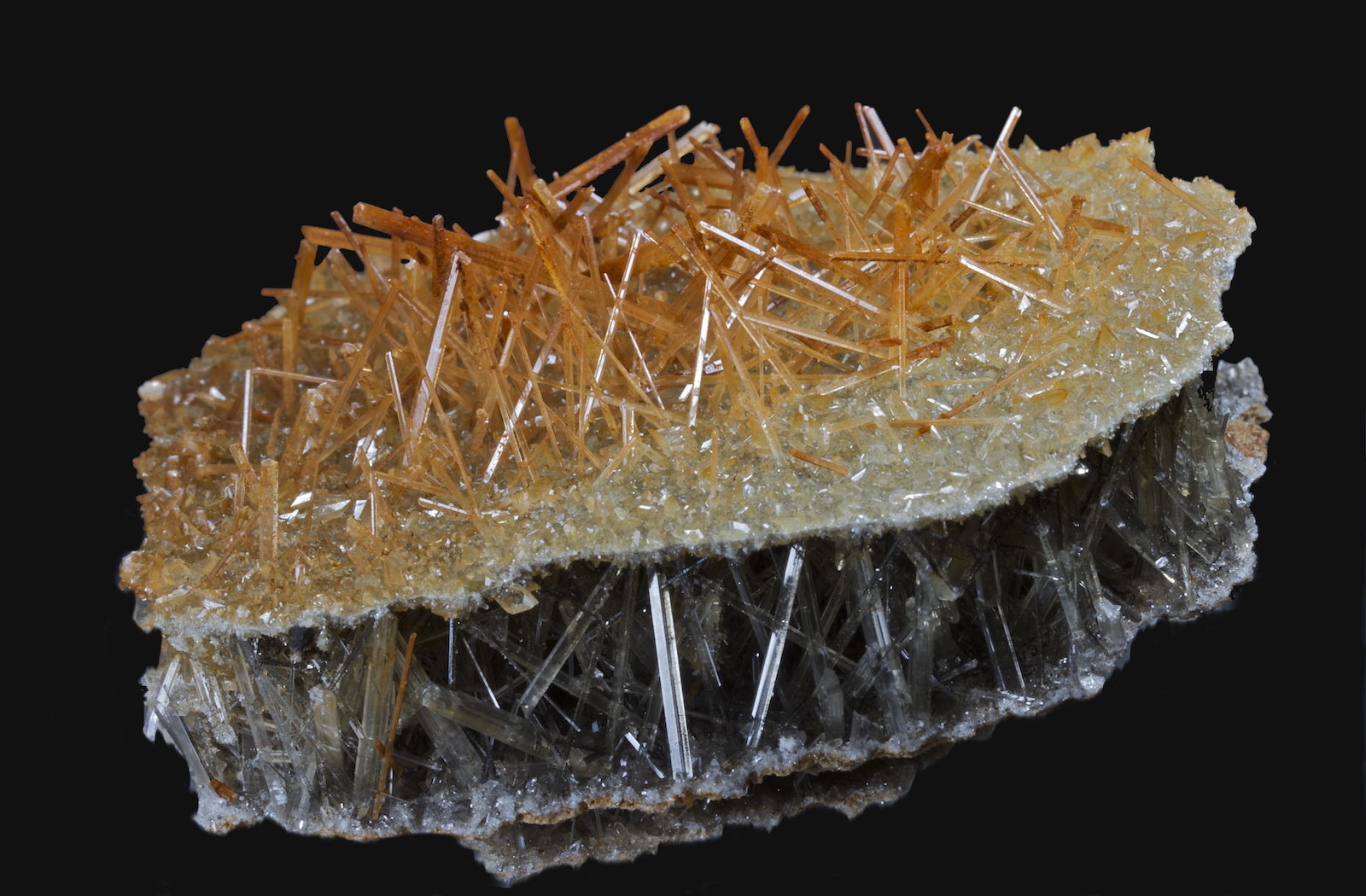 Yeso
9,2 x 8,9 x 2,4 cm.
(Autor: Xavier bordas)