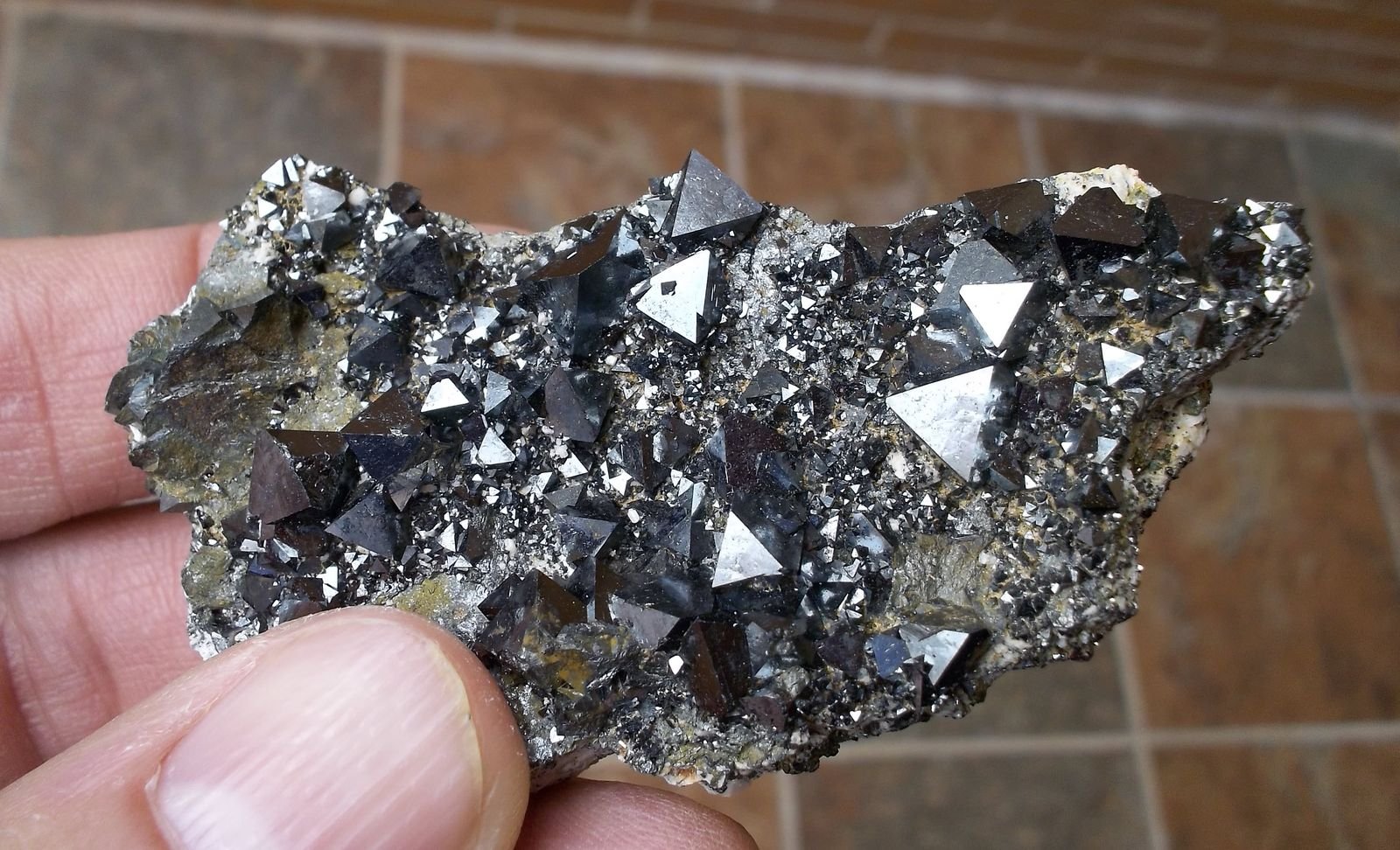 Magnetita
6 x 3,5 cm
(Autor: Cristalino)