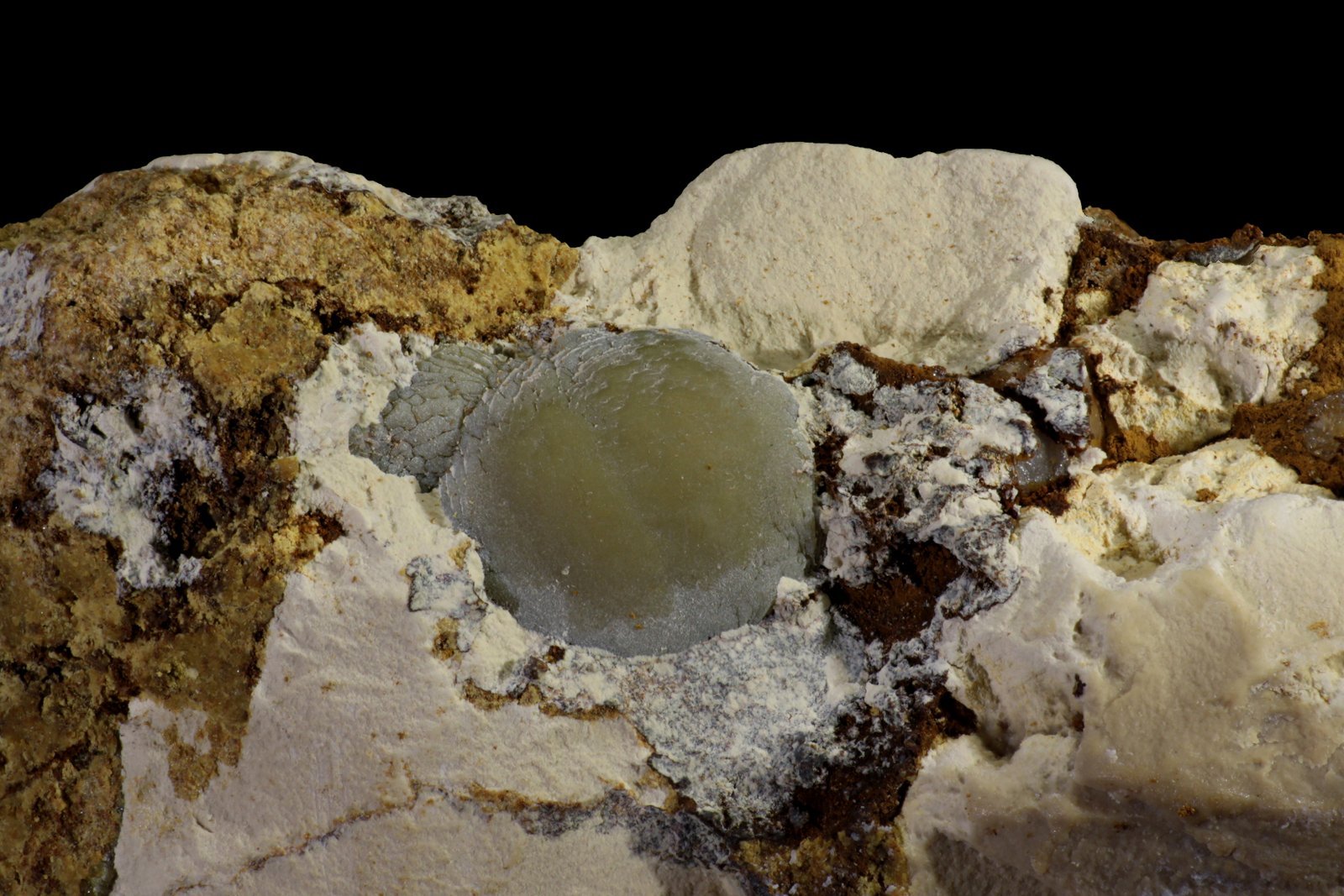 Dufrénita
1,5 x 3 cm
(Autor: Jorgina-Agusti-Màrius)