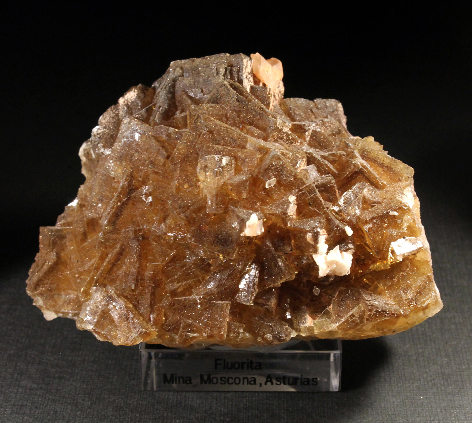 Fluorita, Calcita y Dolomita
8 x 5,5 cm. (Cristal mayor: 1,7 cm).
(Autor: Darío Menéndez)