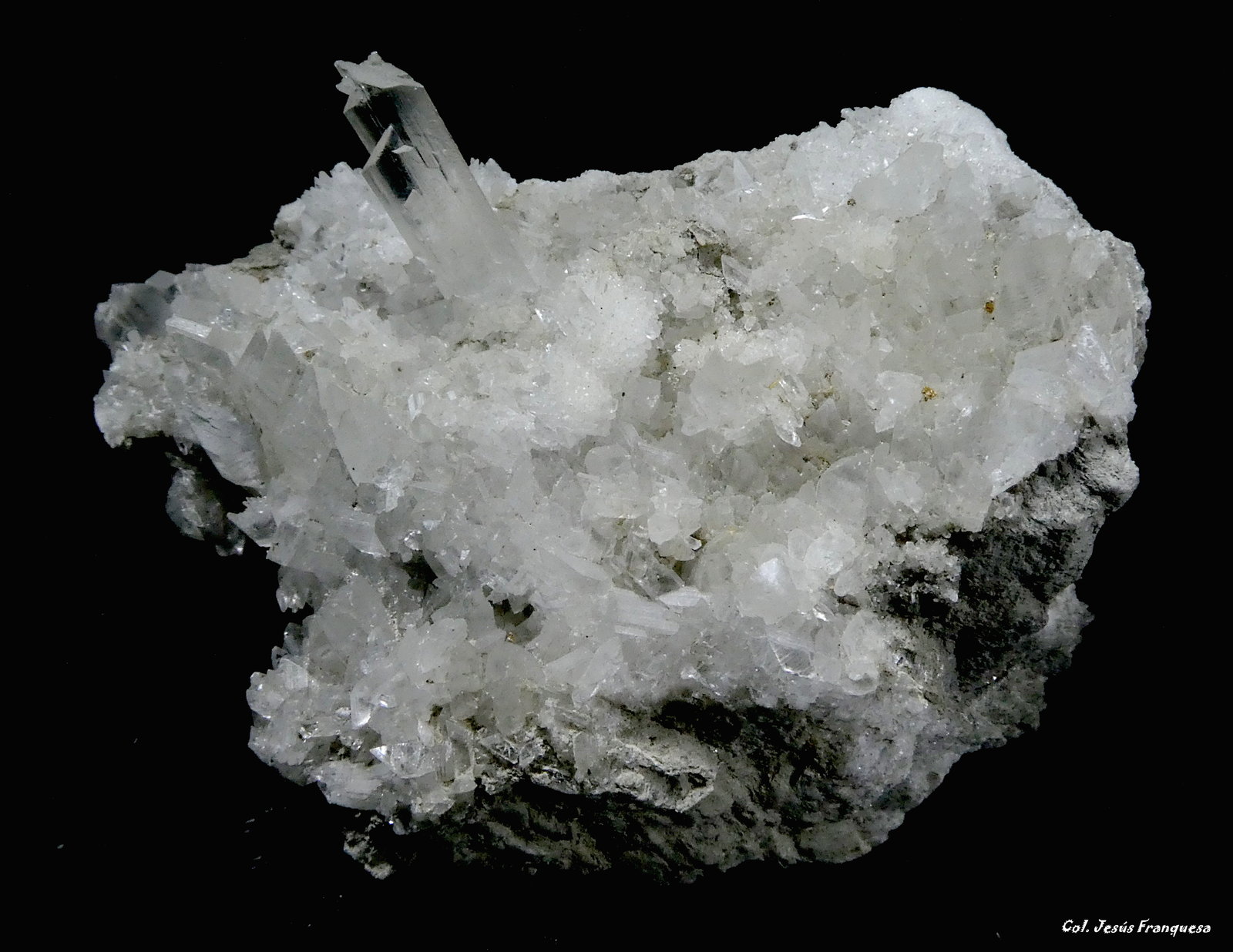 Yeso.
75x45 mm.
(Autor: Jesus Franquesa Baucells)