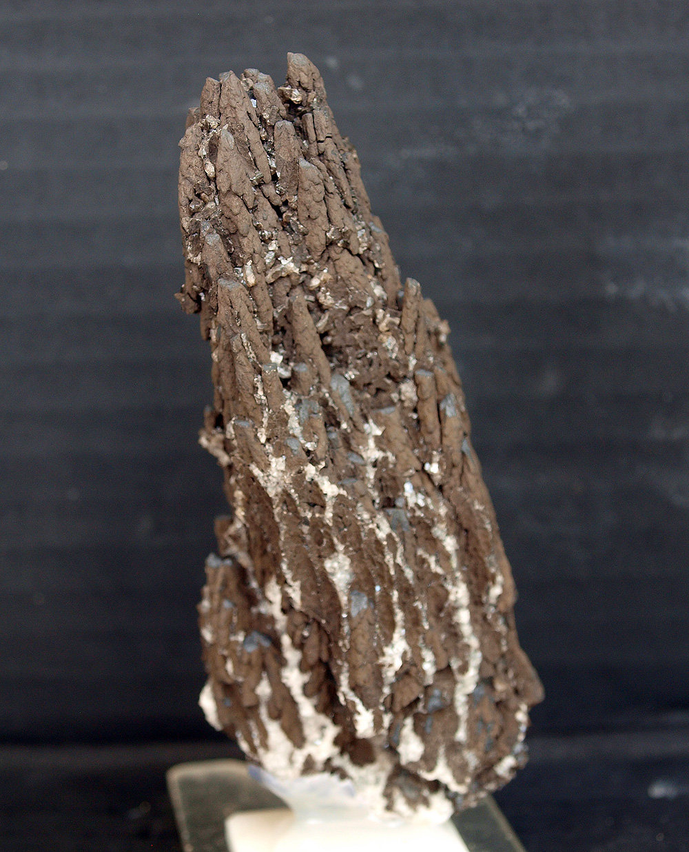 óxidos de manganeso
9 x 3.5 cm
(Autor: Pedro Antonio)