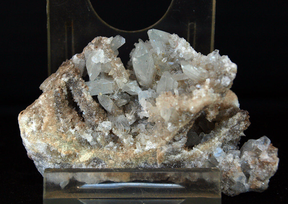 Celestina
6 x 3.5 cm
(Autor: Pedro Antonio)