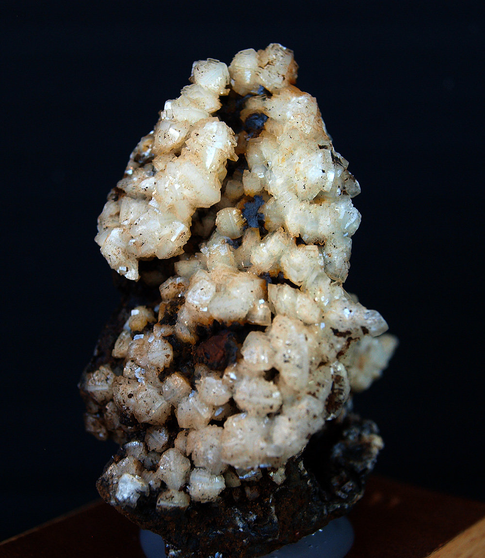 Celestina
5.5 x 4 cm
(Autor: Pedro Antonio)