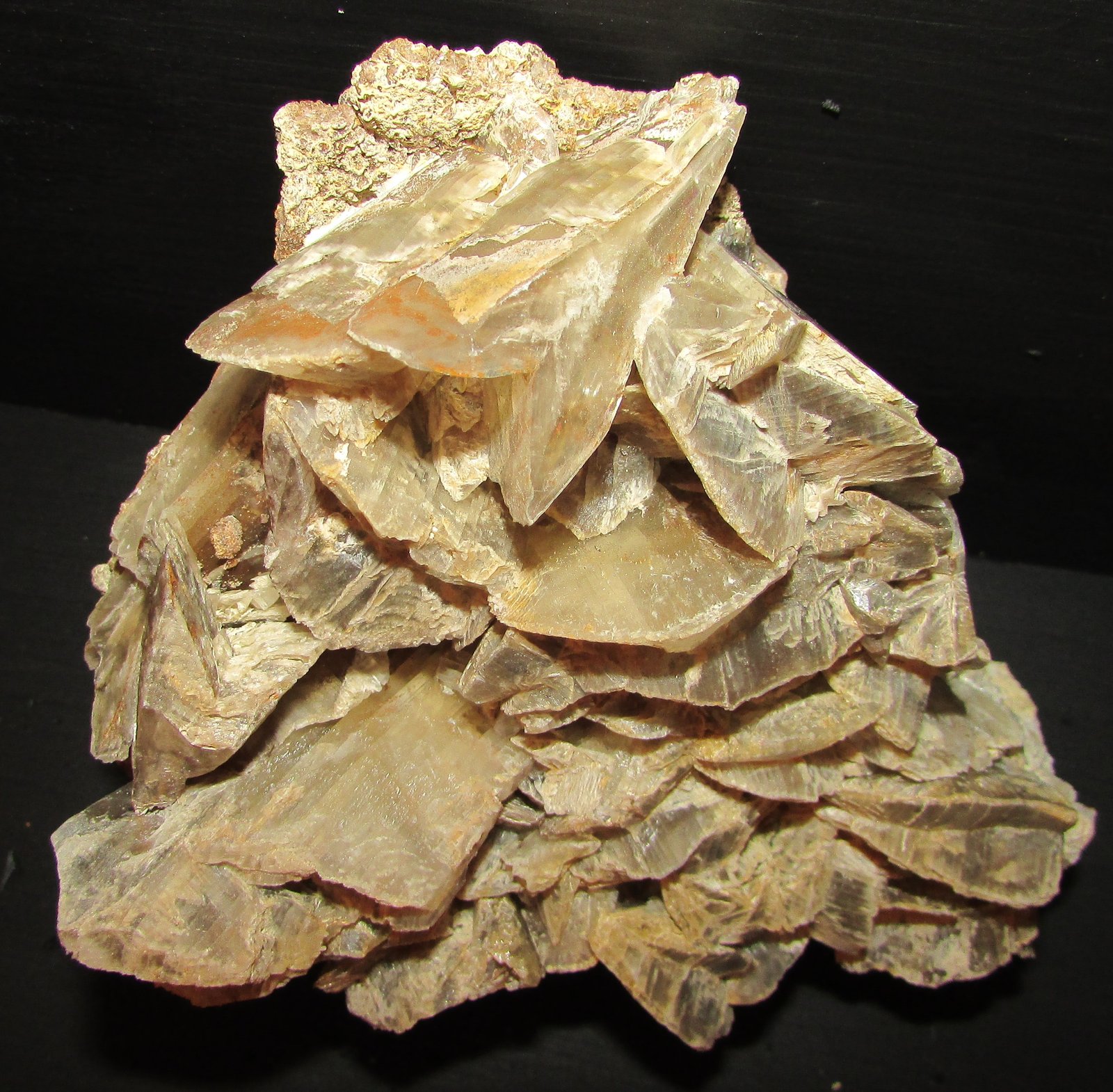 Yeso
14 x 12'5 cm
(Autor: Jordi Franco)