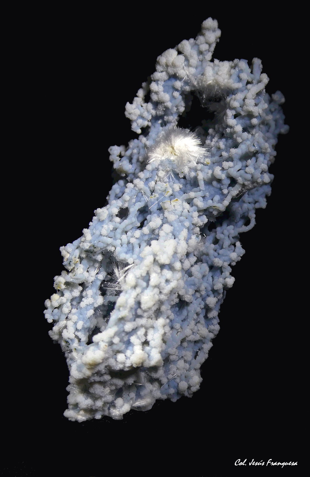 Cuarzo (variedad calcedonia) y Okenita.
63x28 mm.
(Autor: Jesus Franquesa Baucells)