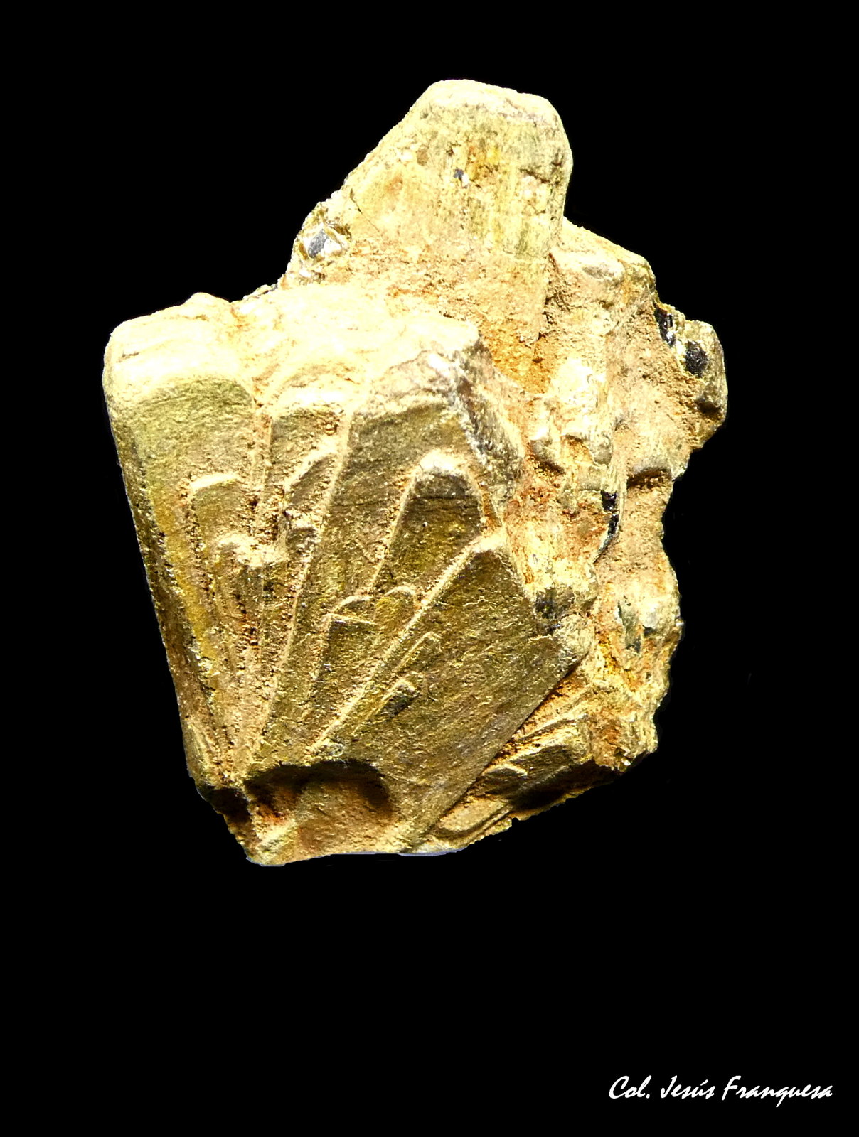 Euxenita-(Y).
25x19 mm.
(Autor: Jesus Franquesa Baucells)