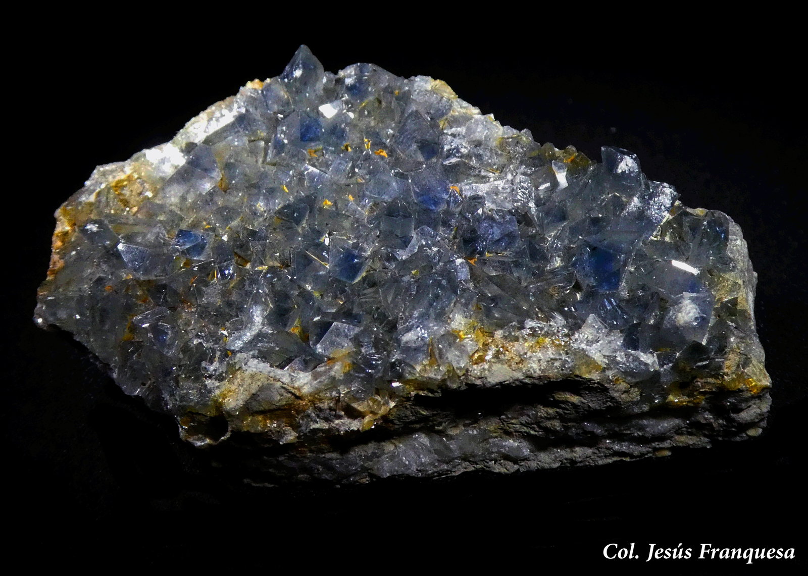Celestina.
70x40 mm.
(Autor: Jesus Franquesa Baucells)