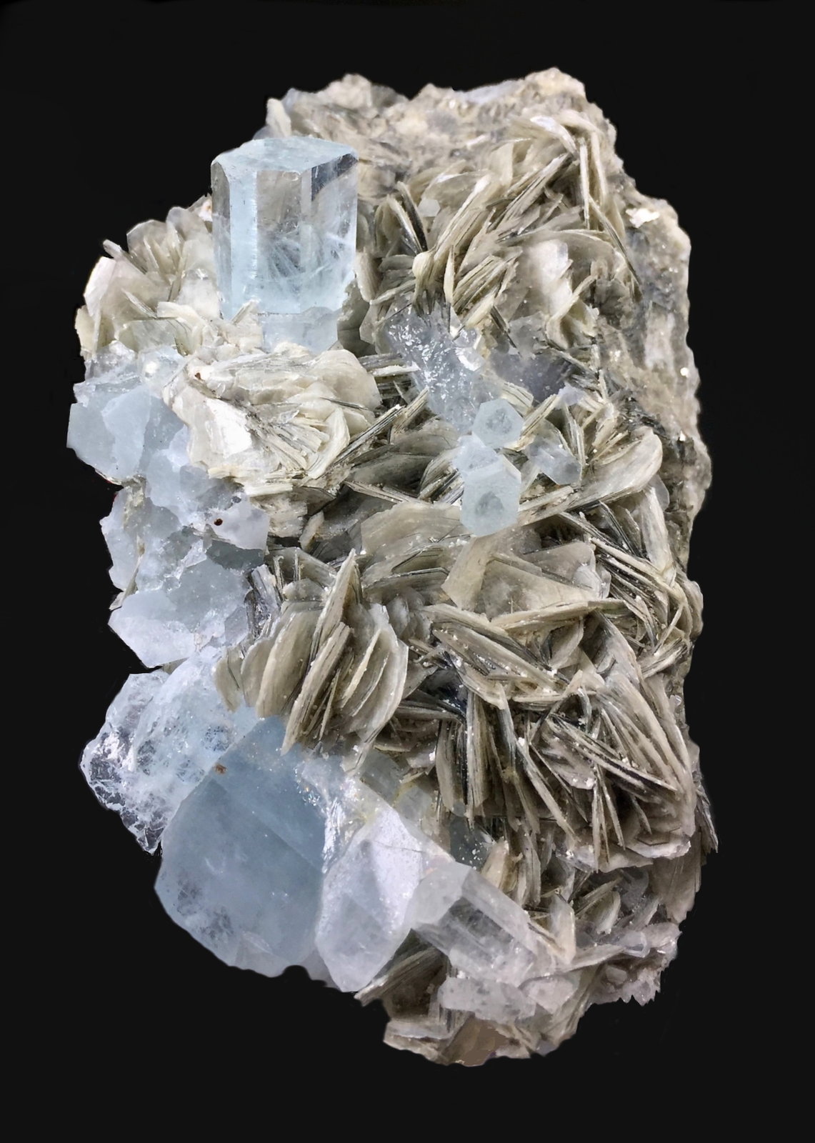 Berilo (variedad aguamarina), Moscovita
10,4 x 6,7 cm
(Autor: Xavier bordas)
