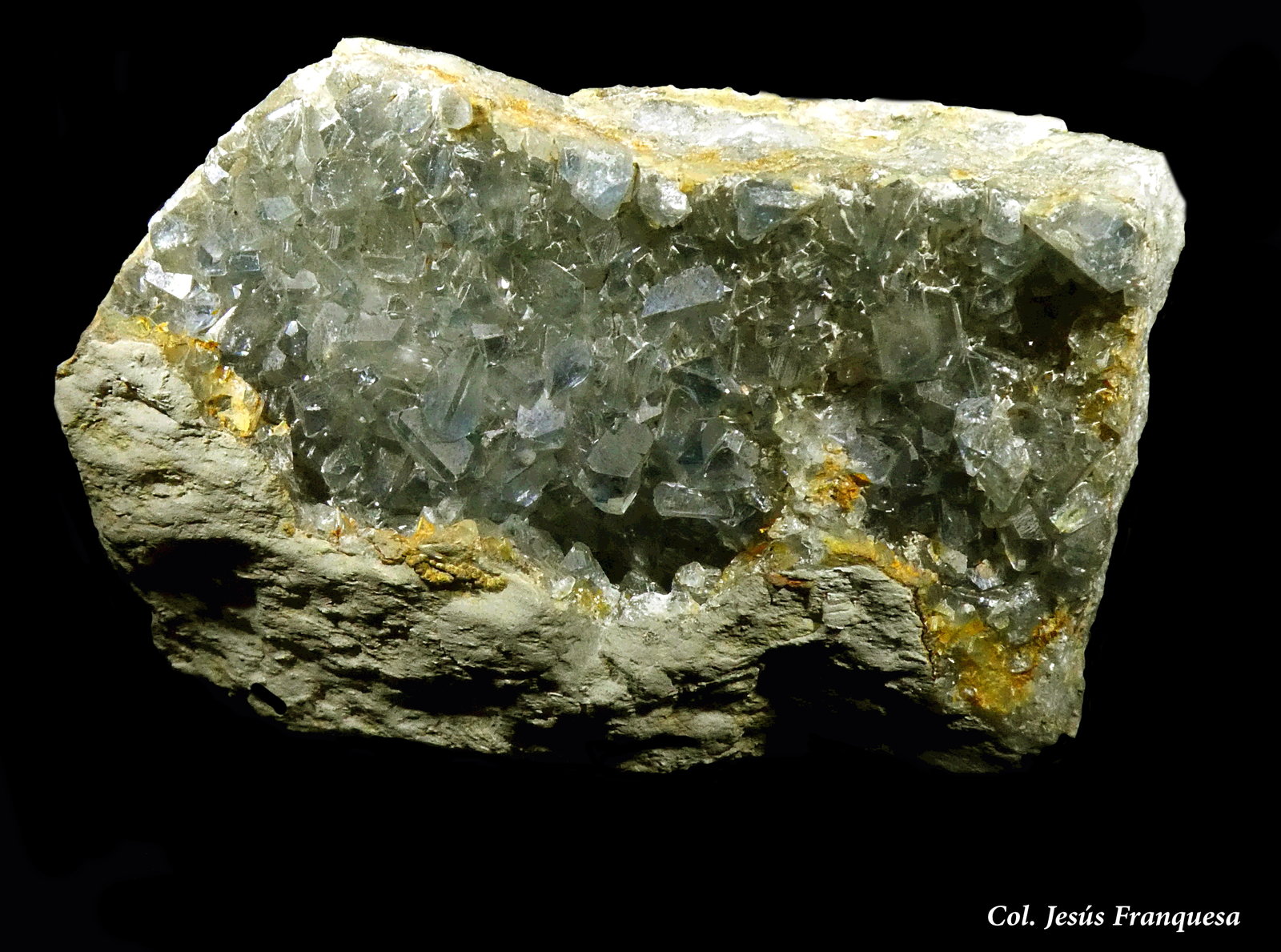 Celestina
75x45 mm.
(Autor: Jesus Franquesa Baucells)