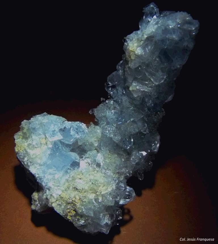 Celestina.
110x60 mm.
(Autor: Jesus Franquesa Baucells)