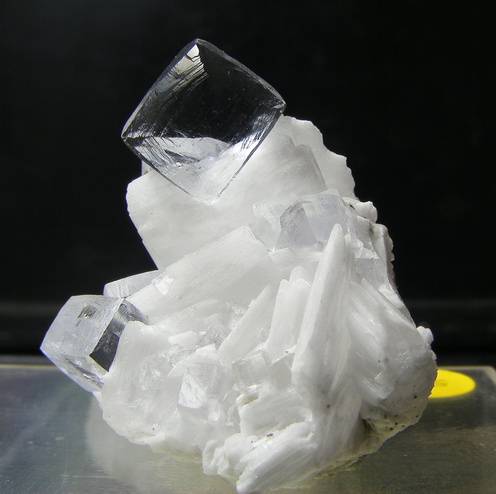 Fluorita
3.5cm
(Autor: yowanni)