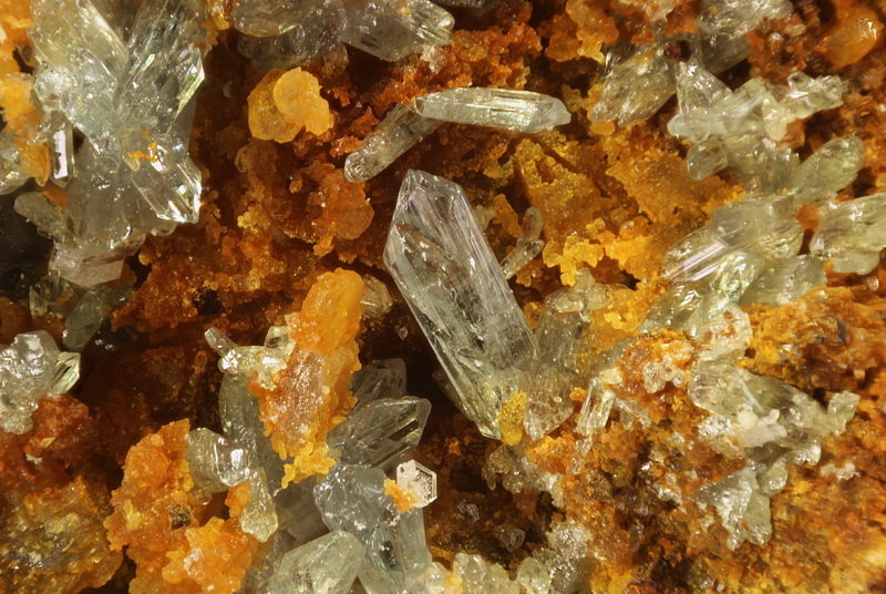 Escorodita
Cristal más grande 1,6 x 0,3 mm
(Autor: Jorgina-Agusti-Màrius)