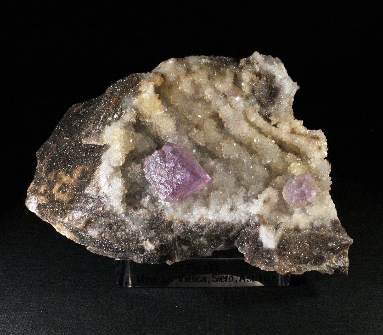 Fluorita sobre Cuarzo
9 x 5 cm. (Cristal mayor: 1,3 cm).
(Autor: Darío Menéndez)