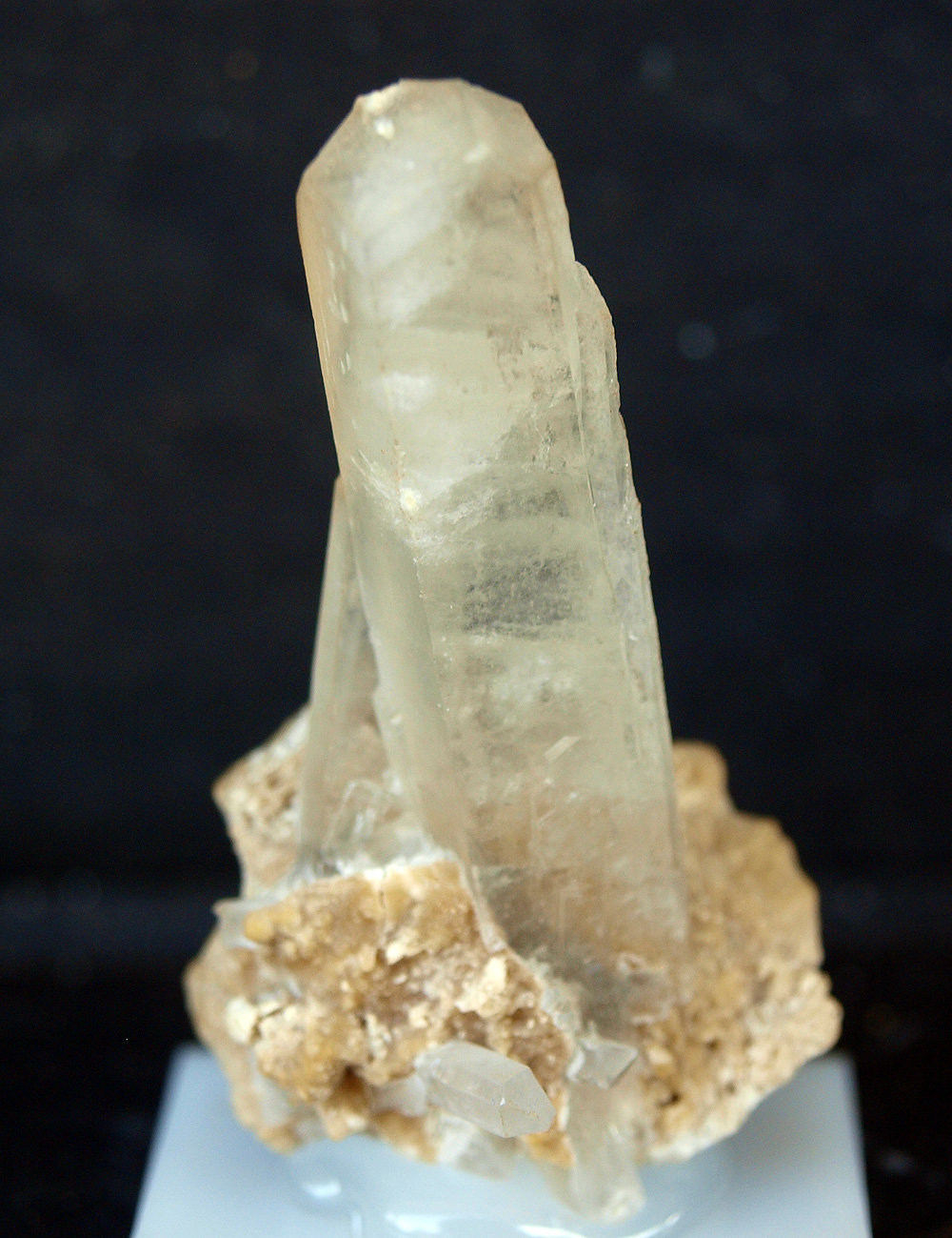 Celestina
4.5 x 2 cm
(Autor: Pedro Antonio)