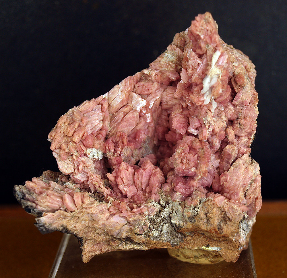 Inesita
6.5 x 6.5 cm
(Autor: Pedro Antonio)