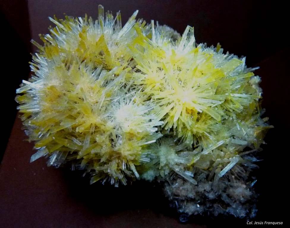 Yeso (variedad selenita)
110x90 mm.
(Autor: Jesus Franquesa Baucells)