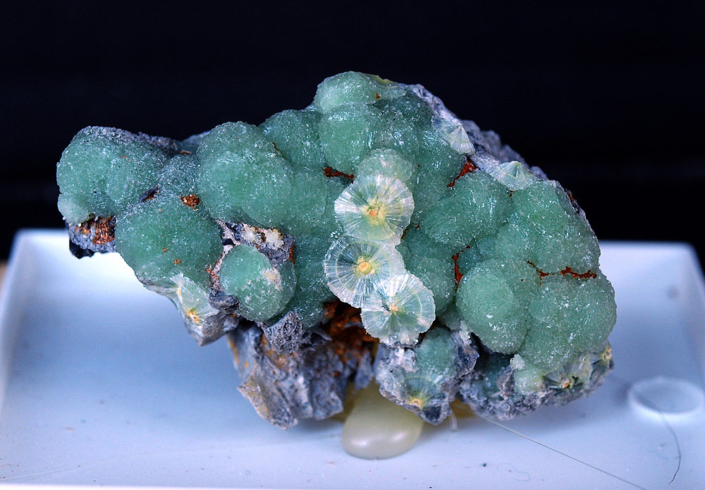 Wavellita
4 x 2.5 cm
(Autor: Pedro Antonio)