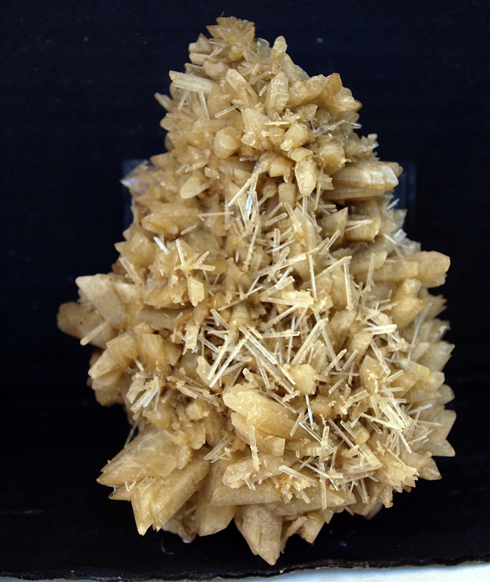 Yeso
11 x 9 cm
(Autor: Pedro Antonio)