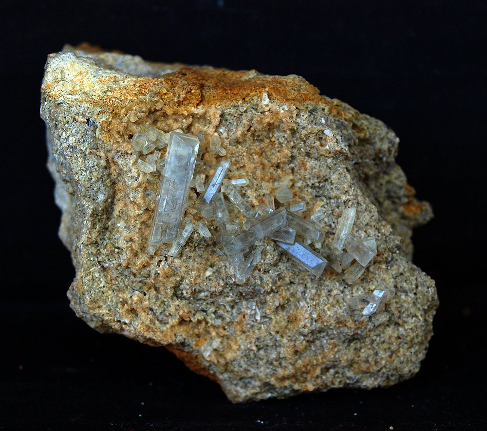 Celestina
8 x 6 cm
(Autor: Pedro Antonio)