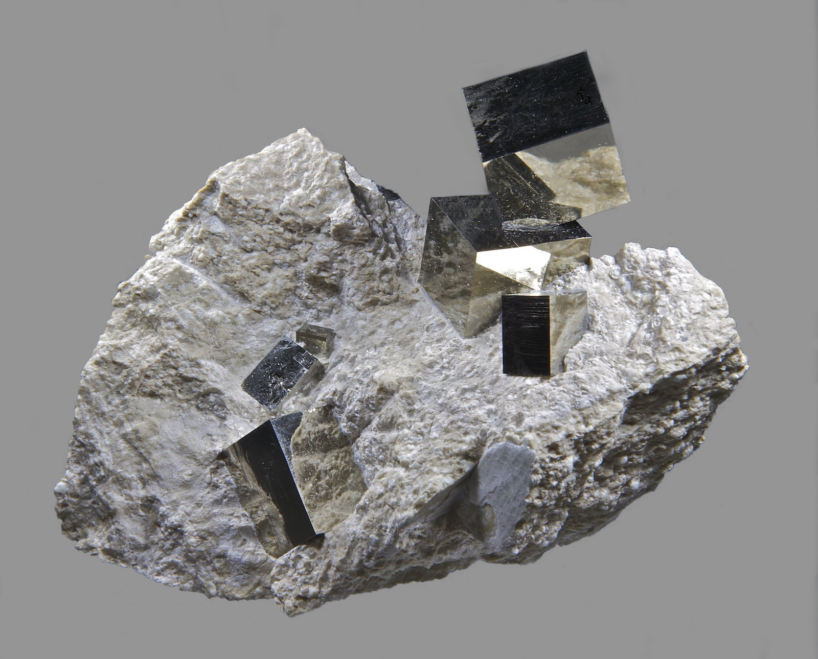 Pirita 
12,9 x 9,0 cm.
(Autor: Xavier bordas)