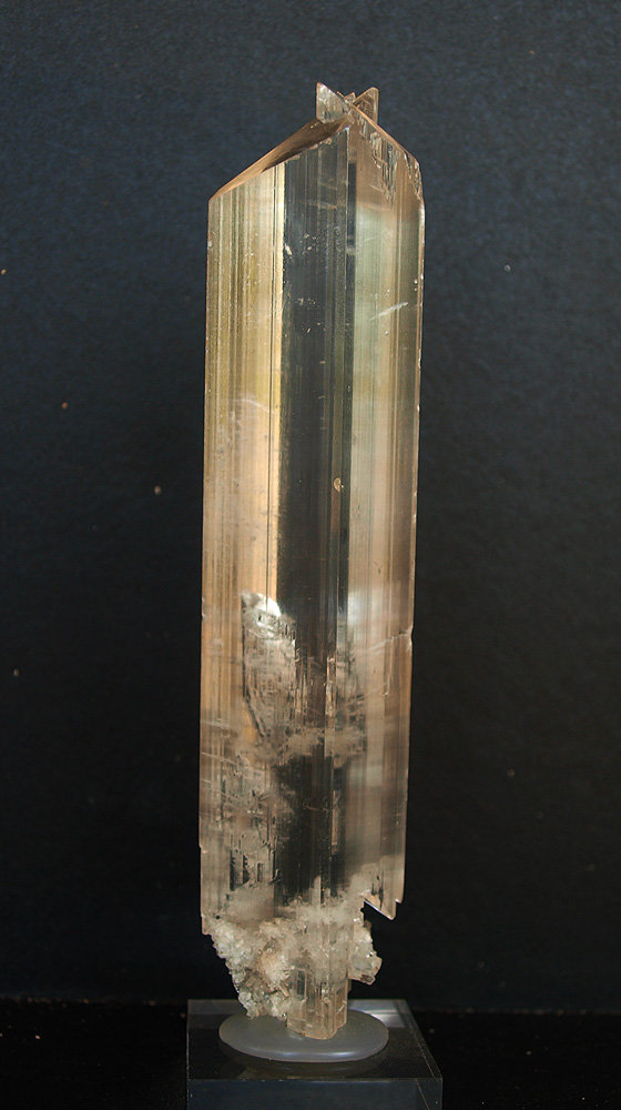 Yeso
15 x 3.5 cm
(Autor: Pedro Antonio)
