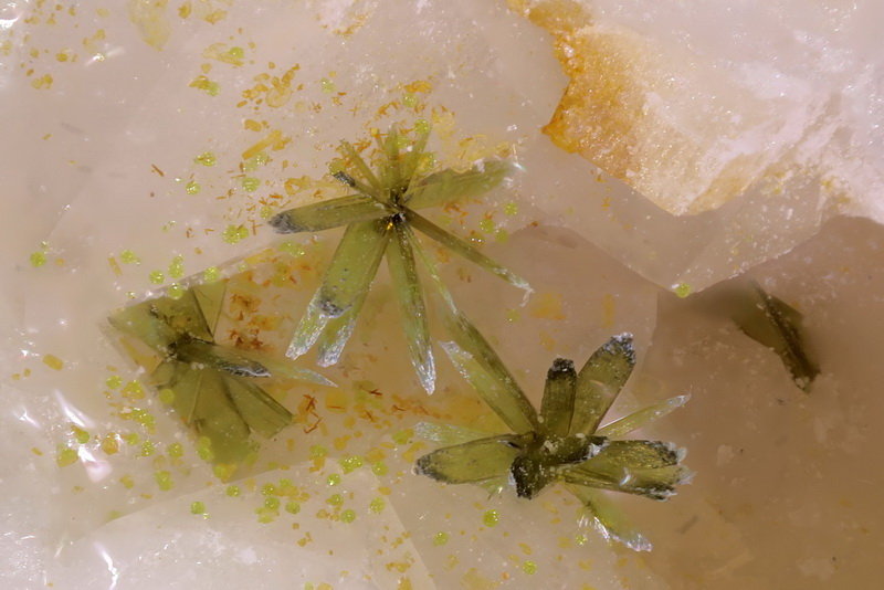 Olivenita
Abanico central 1 mm
(Autor: Jorgina-Agusti-Màrius)