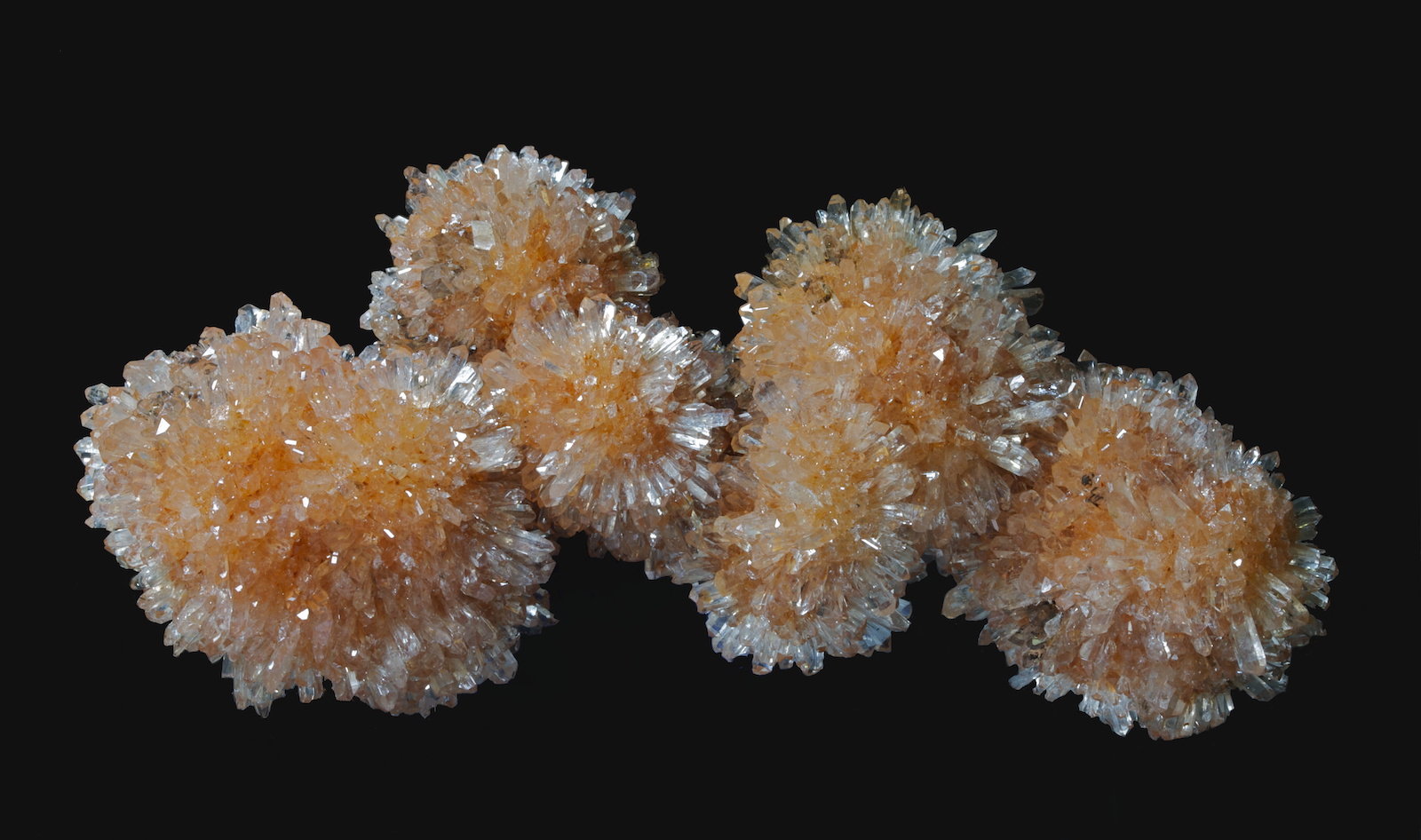 Creedita
9,6 x 5,2 cm.
(Autor: Xavier bordas)