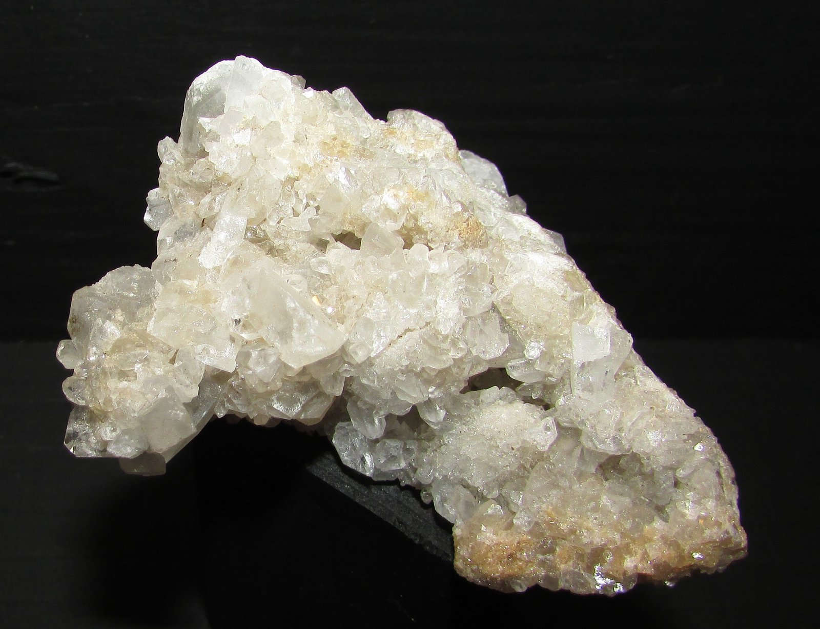 Celestina
7 x 6 cm
(Autor: Jordi Franco)