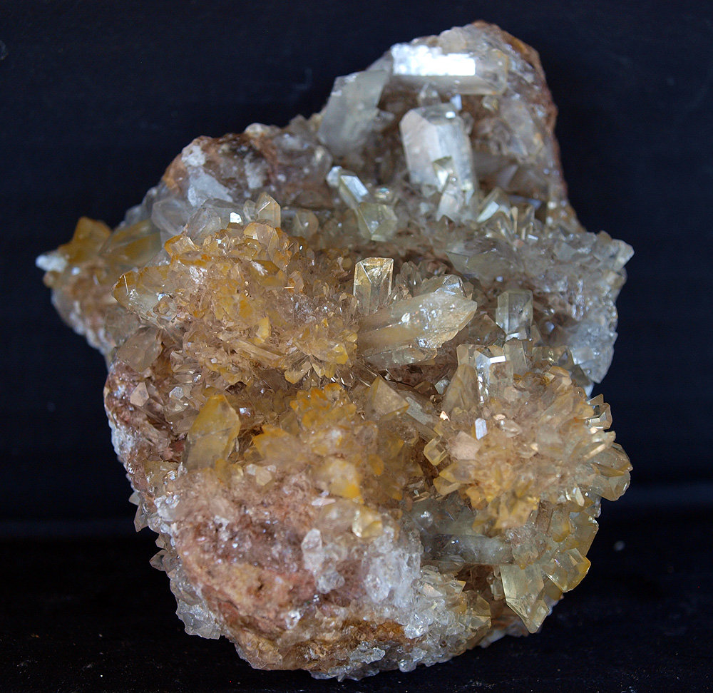 Celestina
7 x 7.5 cm
(Autor: Pedro Antonio)