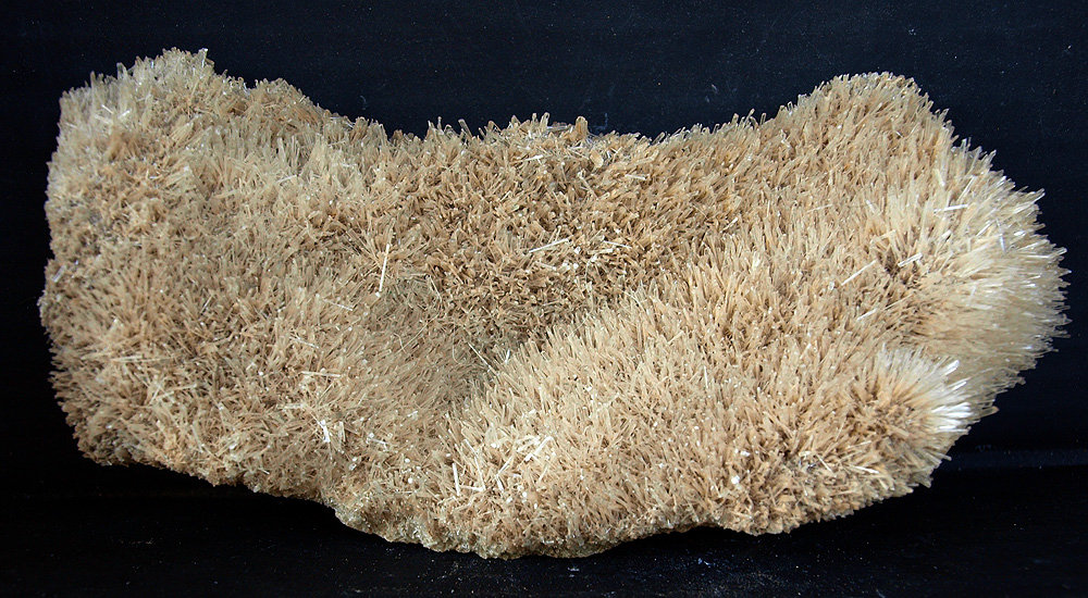 Yeso
17 x 7 cm
(Autor: Pedro Antonio)