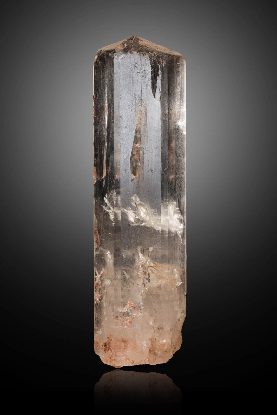 Fenaquita (Phenaquita)
20,0 cm
(Autor: Museo MIM)