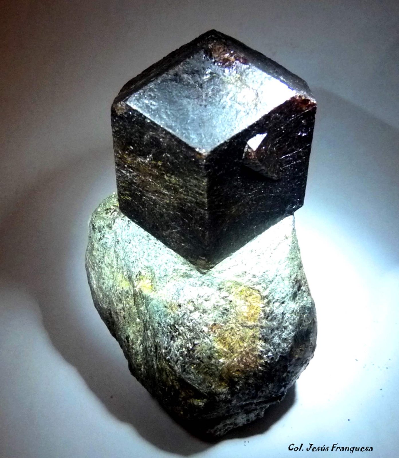 Granate (Grupo)
50x40 mm.
(Autor: Jesus Franquesa Baucells)