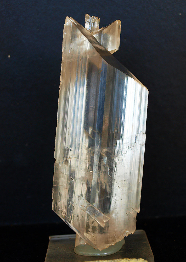 Yeso
11 x 4.5 cm
(Autor: Pedro Antonio)