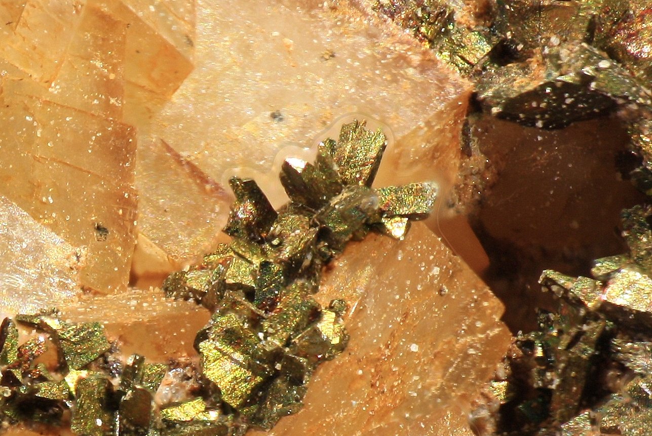 Calcopirita
Cristales de 1 a 1,5  mm
(Autor: Jorgina-Agusti-Màrius)
