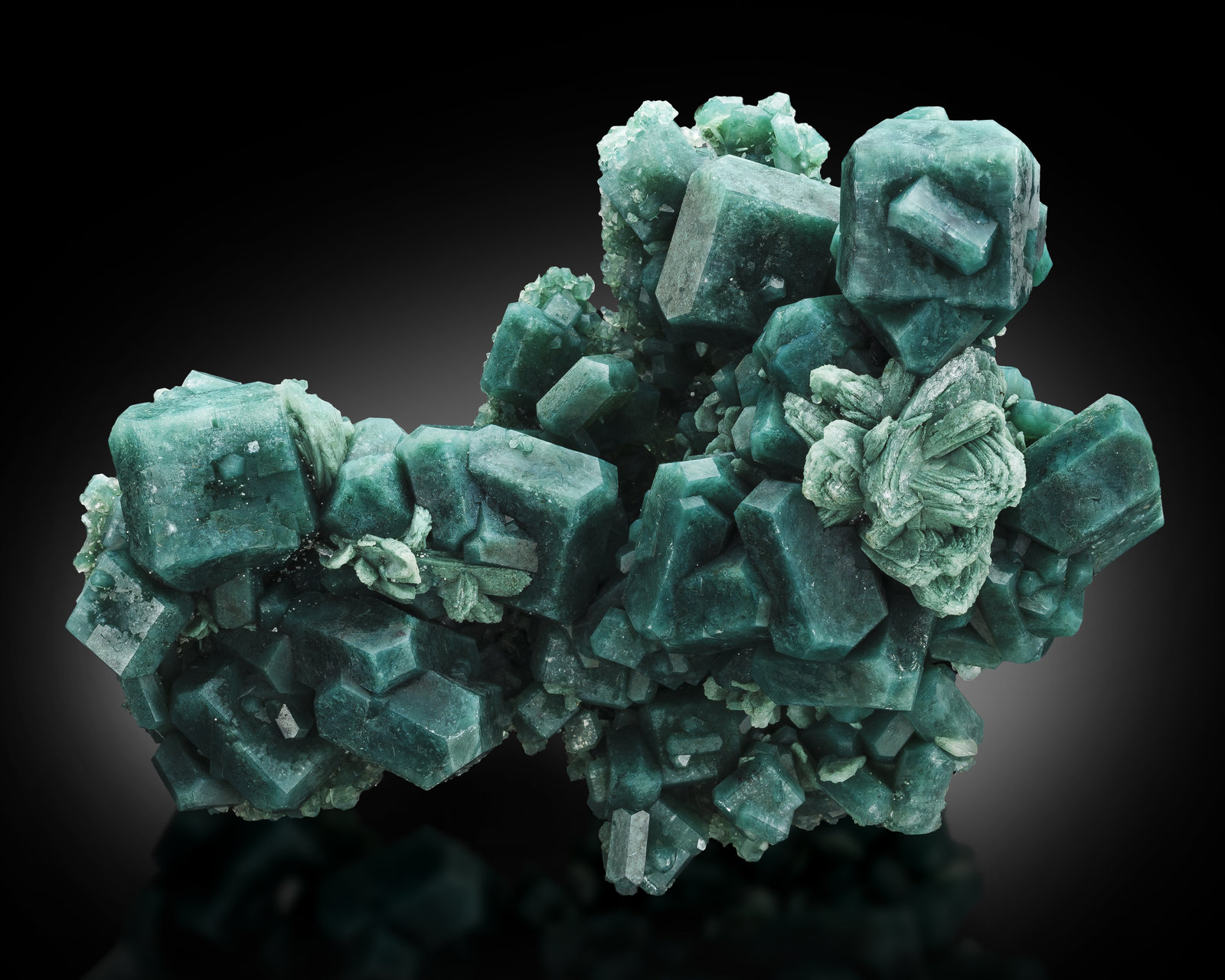 Fluorapofilita-(K) con inclusiones Celadonita
17,5 x 13,0 x 13,0 cm
(Autor: Museo MIM)