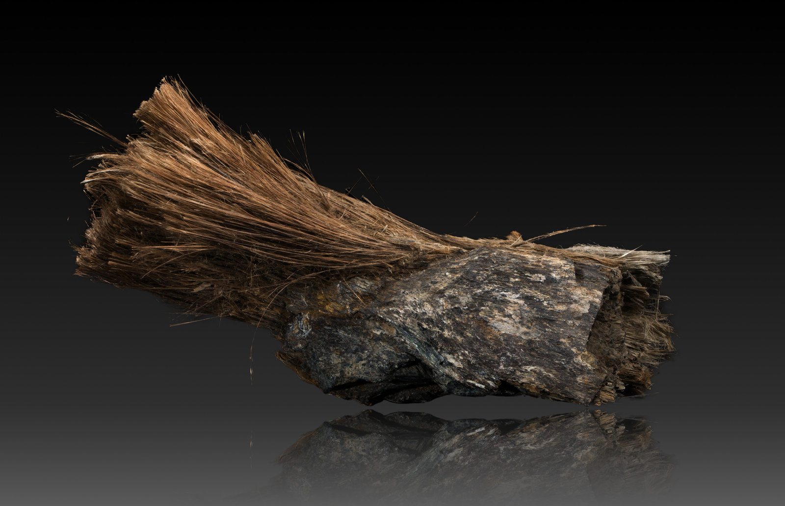 Balangeroita
13 x 37 x 12 cm
(Autor: Museo MIM)