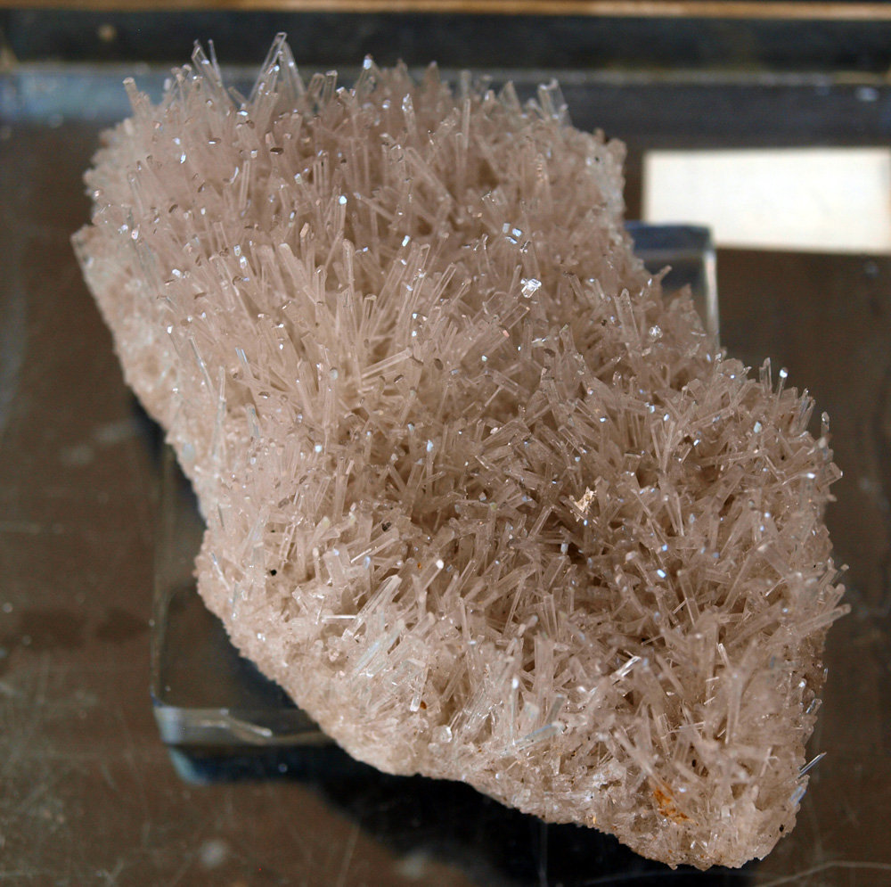 Yeso
7.5 x 4.5 cm
(Autor: Pedro Antonio)