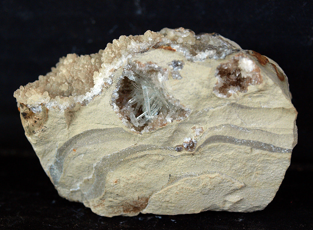 Celestina
6.5 x 4.5 cm
(Autor: Pedro Antonio)