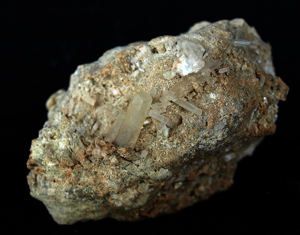 Celestina
8.5 x 6 cm
(Autor: Pedro Antonio)