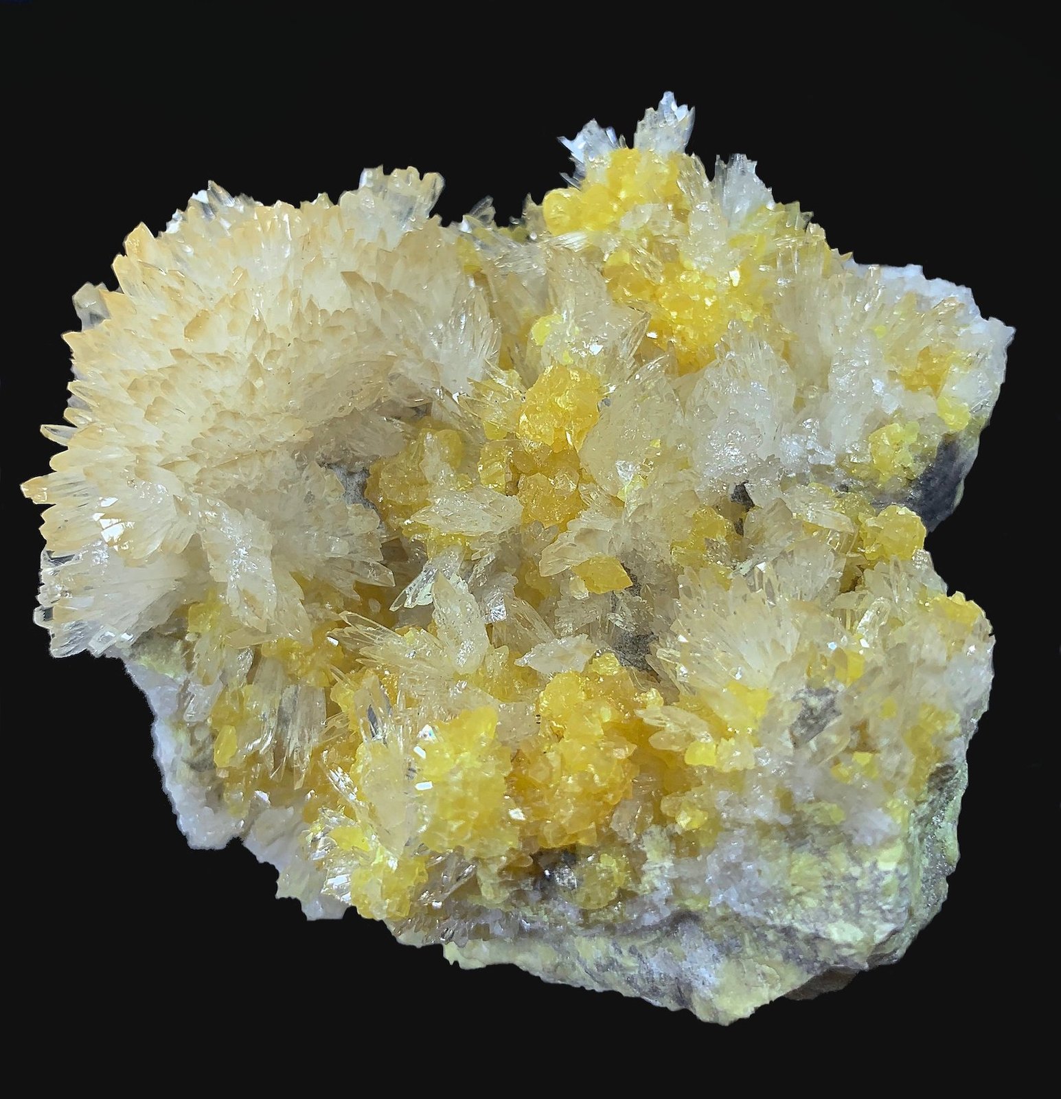 Celestina, Azufre
8,1 x 7,3 cm
(Autor: Xavier bordas)