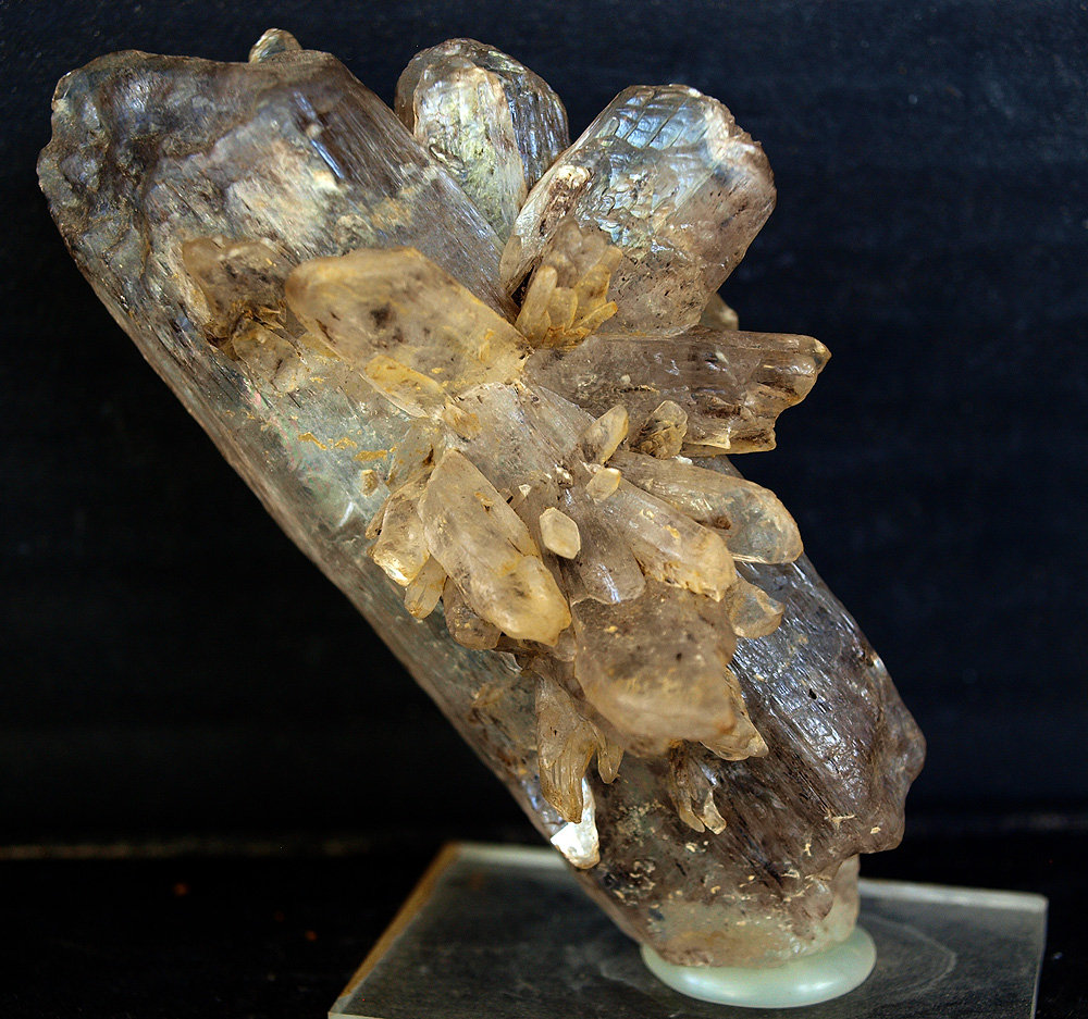 Yeso
8 x 4.5 cm
(Autor: Pedro Antonio)