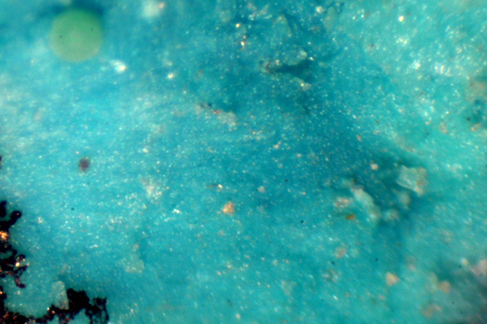 Crisocola
< 1 mm.
(Autor: José Luis Zamora)